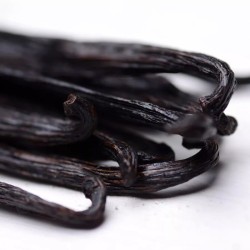 Bourbon Vanilla Pods from Madagascar