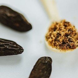 Tonka Bean Venezuela