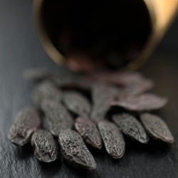 Tonka Bean Venezuela
