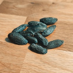 Tonka Bean Venezuela